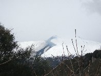 nte Cagliato-20110220 049